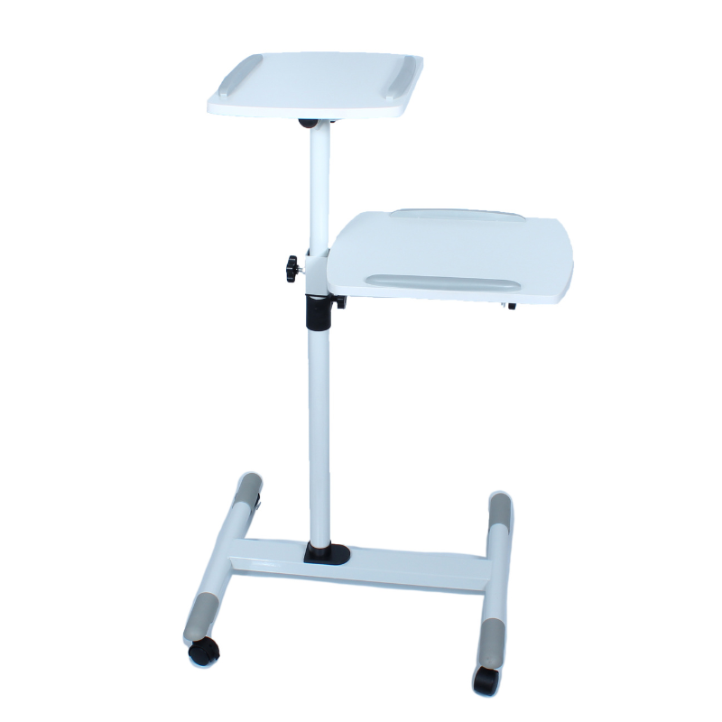 Parrot Data Projector and Laptop Trolley