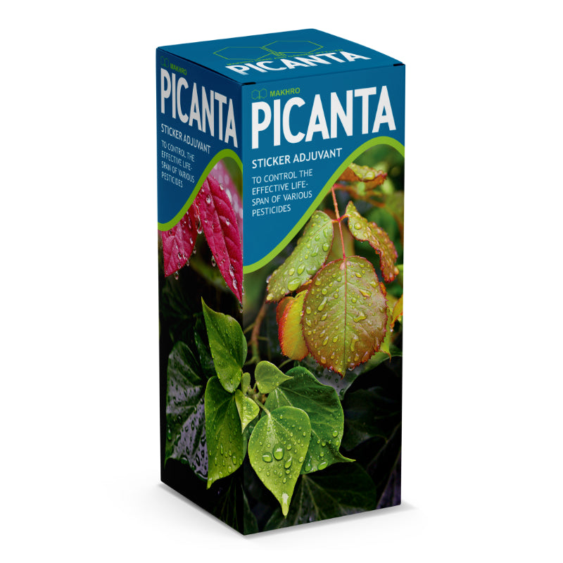 Makhro Picanta