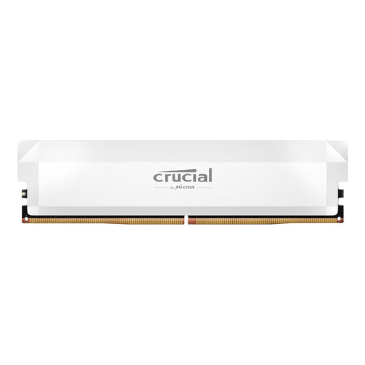Crucial RAM module on a white background