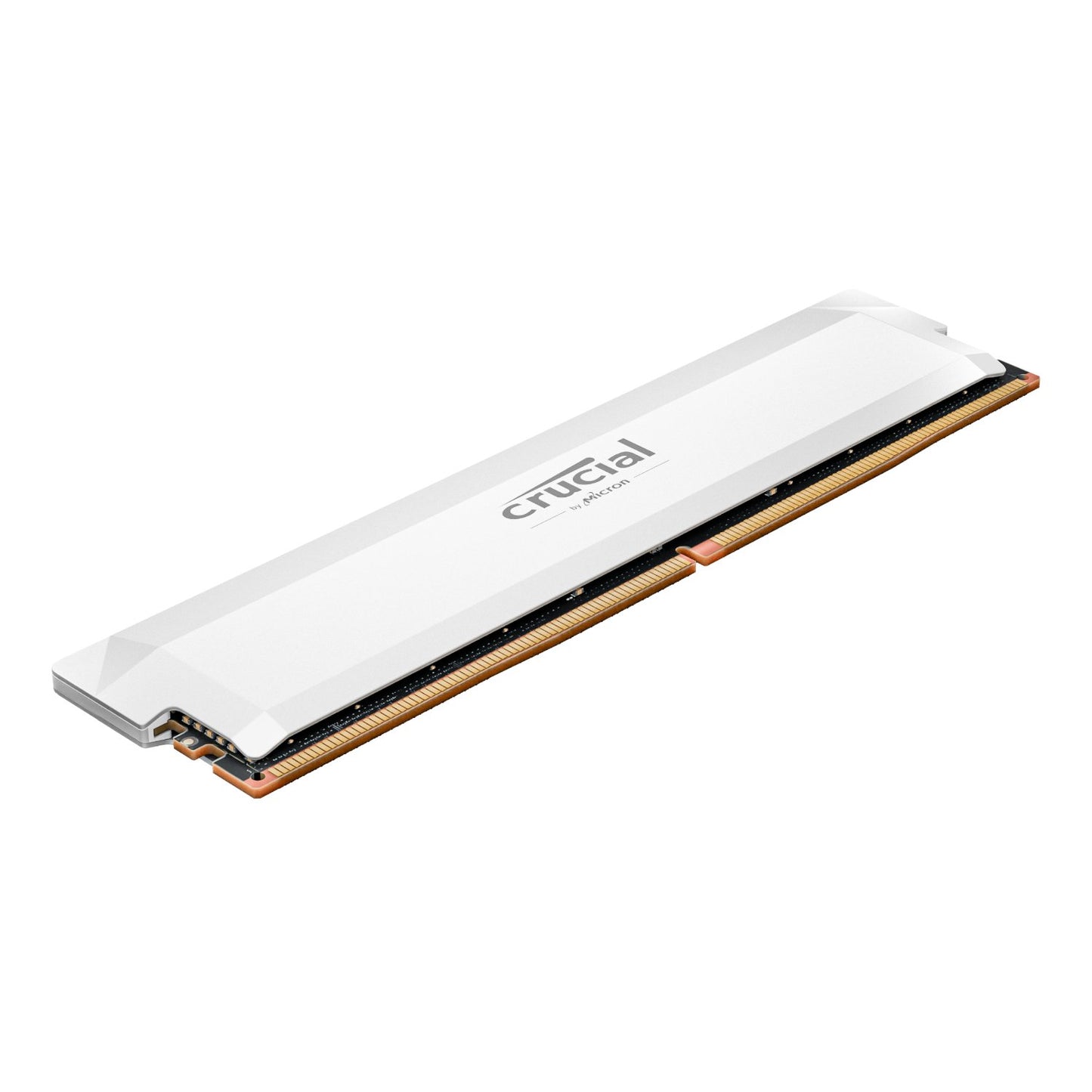 Crucial RAM module on a white background