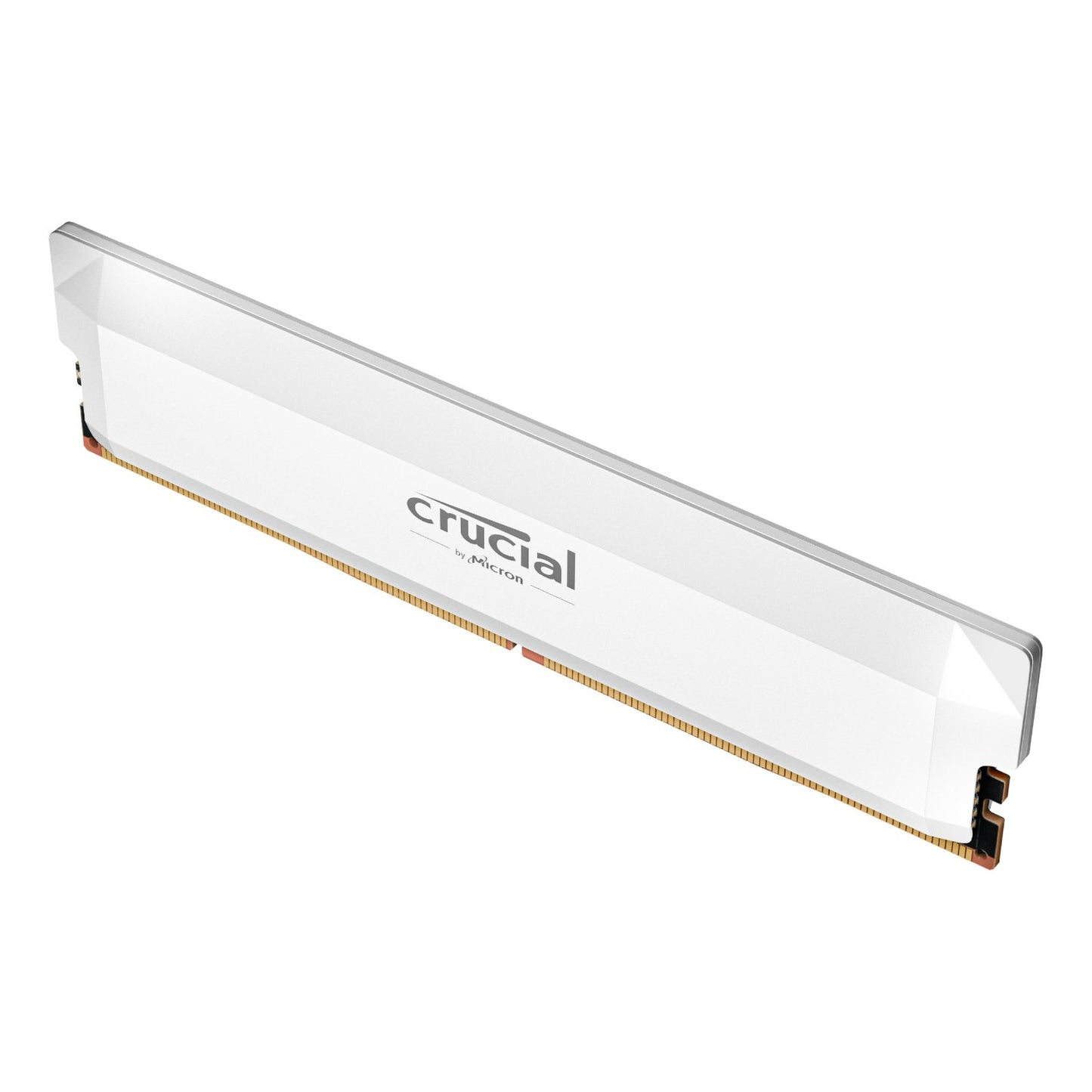 Crucial RAM module on a white background