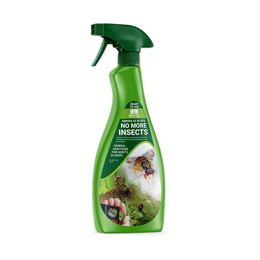 Green spray bottle labeled 'No More Insects' on a white background