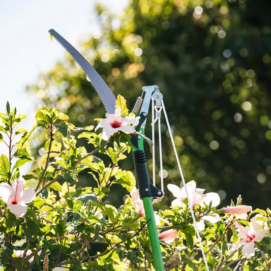 Garden pruner with a long reach in a garden setting