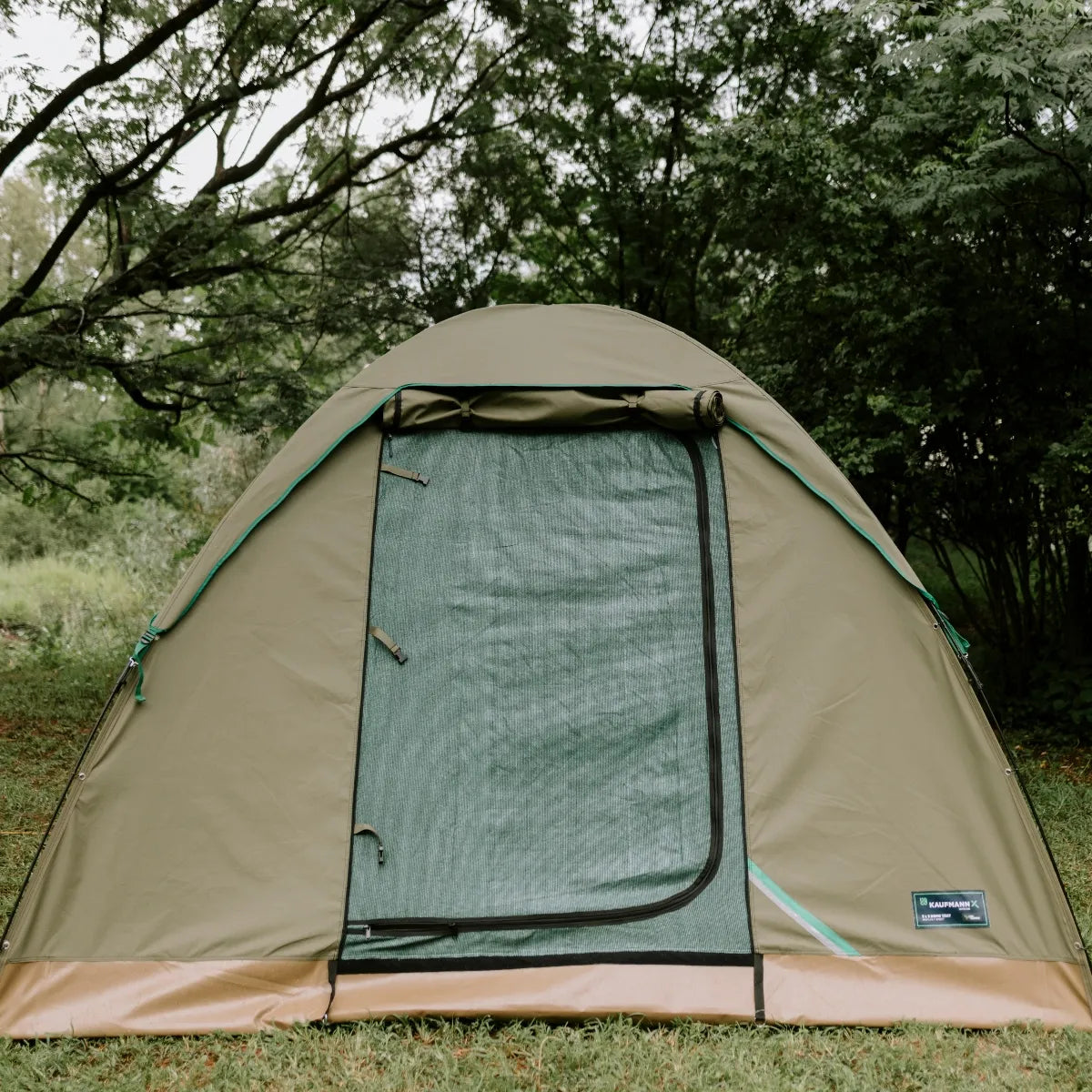 Green camping tent with a mesh door in a forest setting