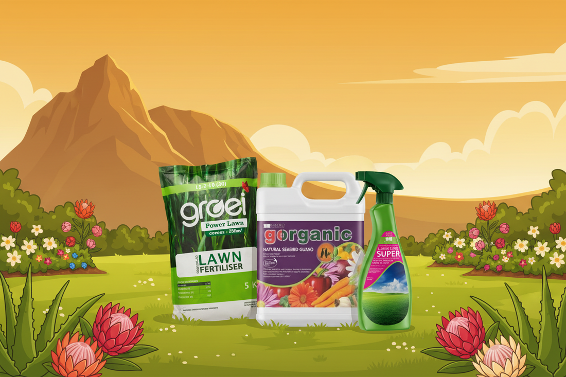 Stoep lawn edge | Super Lawnweeder + Groei Power Lawn + Artificial Grass roll | Winelands