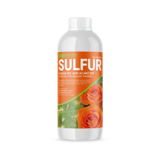 Bottle of Makhro Sulfostar fungicide with a white background