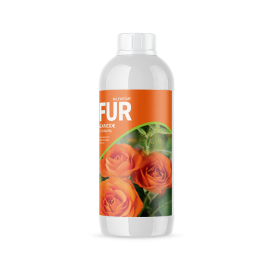 Bottle with a rose design on the label against a white background