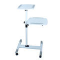 Parrot Data Projector and Laptop Trolley