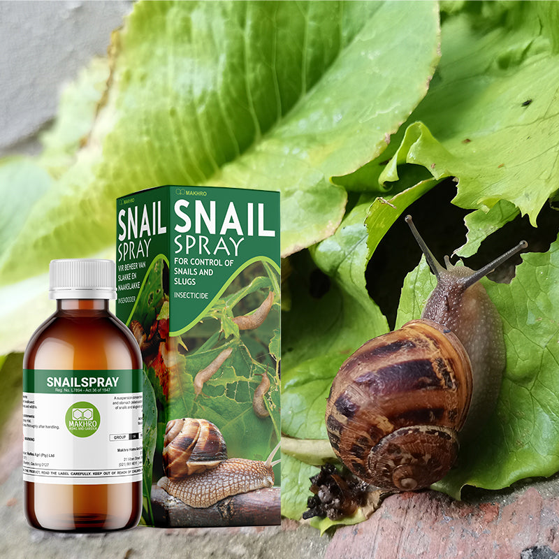 Snail spray bottle and packaging with a snail on a leaf