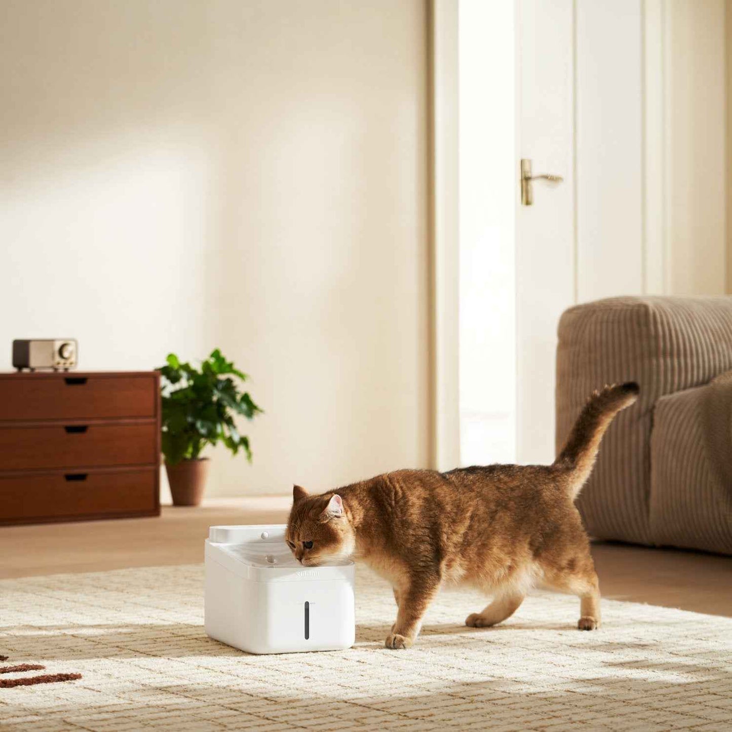 Xiaomi Smart Pet Fountain 2