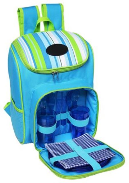 Blue and green striped cooler bag with compartments on a white background