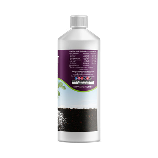 Bottle with a label on a white background