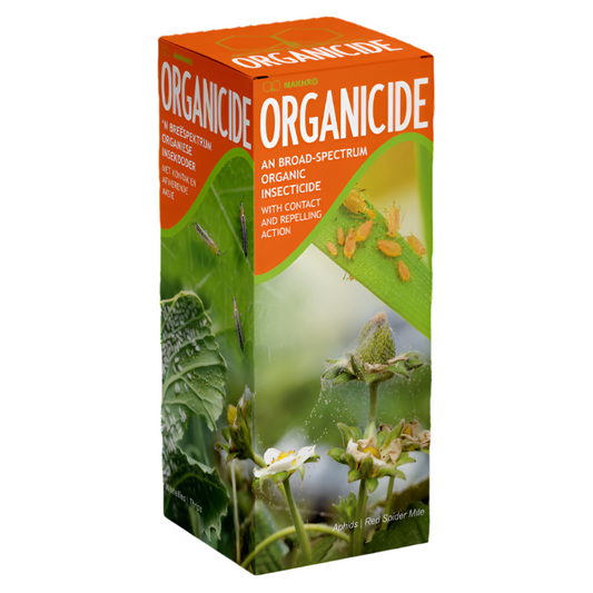Box of Organicide insecticide with greenery and insects on a white background
