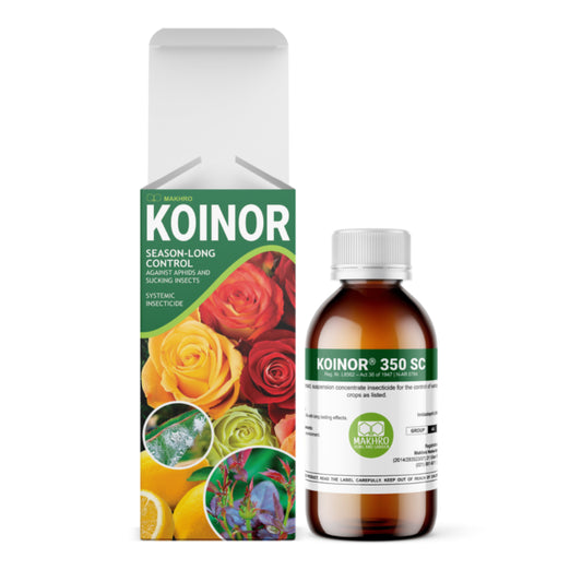 Koinor 350 SC Systemic Insecticide 100ml box and bottle | Controls aphids on roses, citrus & ornamentals