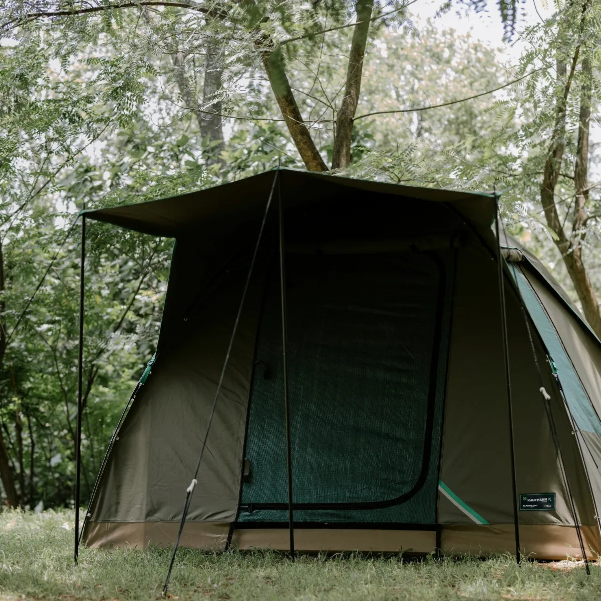 Tent set up in a forested area with trees in the background